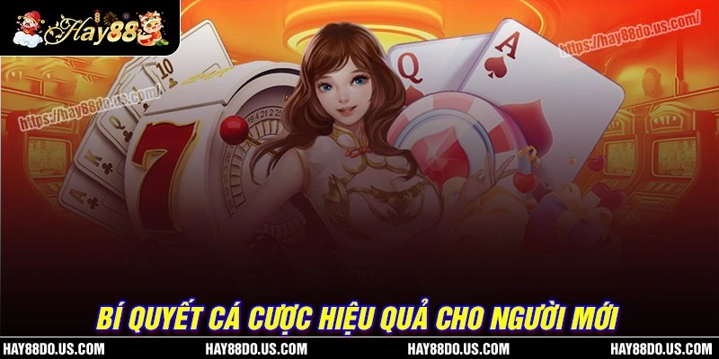 Bí quyết chơi cá độ hiệu quả tại Hay88 com