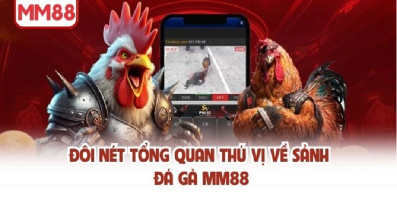 Sảnh đá gà MM88 sôi động nhất thị trường